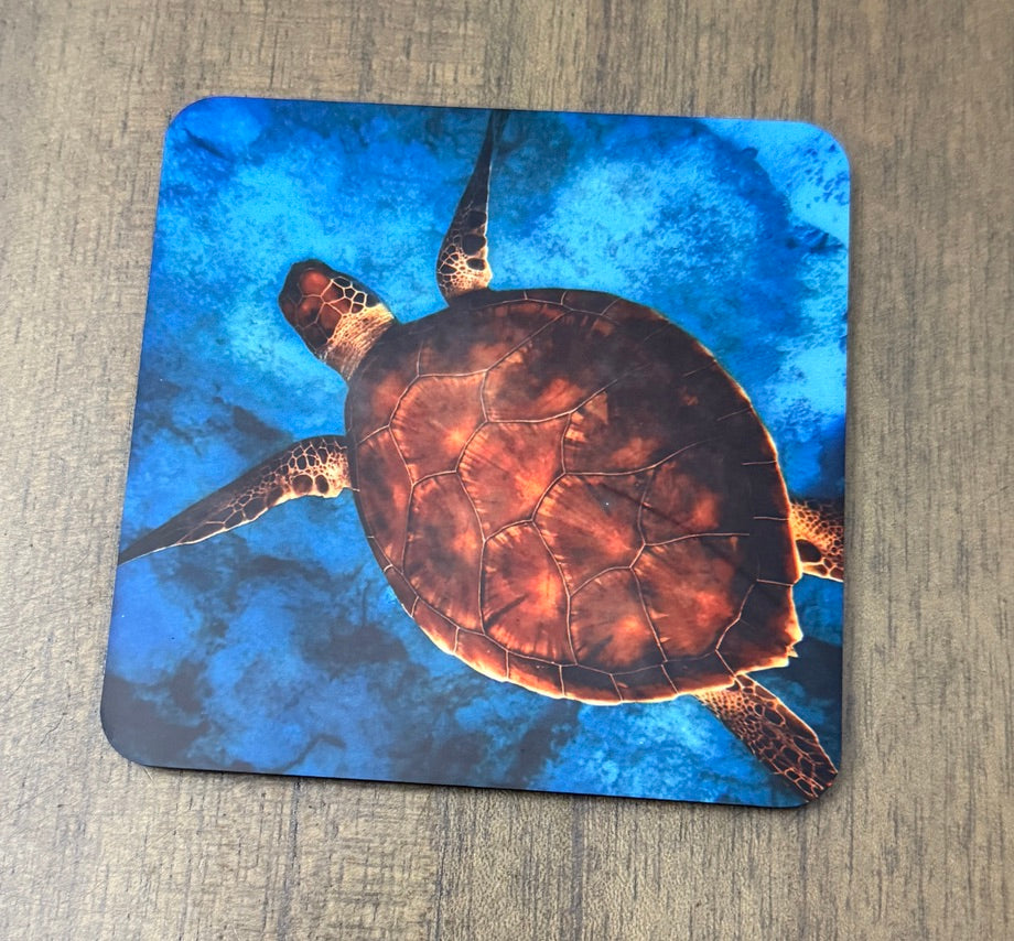 Coasters - Sea Turtles