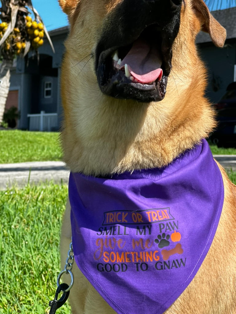 Dog bandanna trick or treat