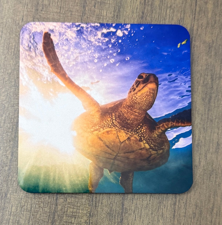 Coasters - Sea Turtles