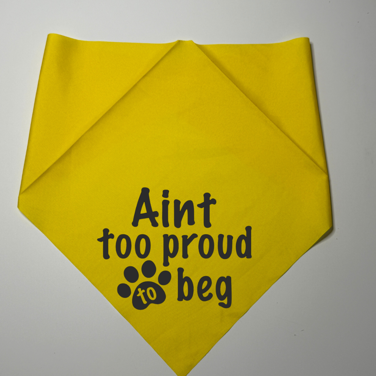 Dog bandanna Ain’t to proud to beg