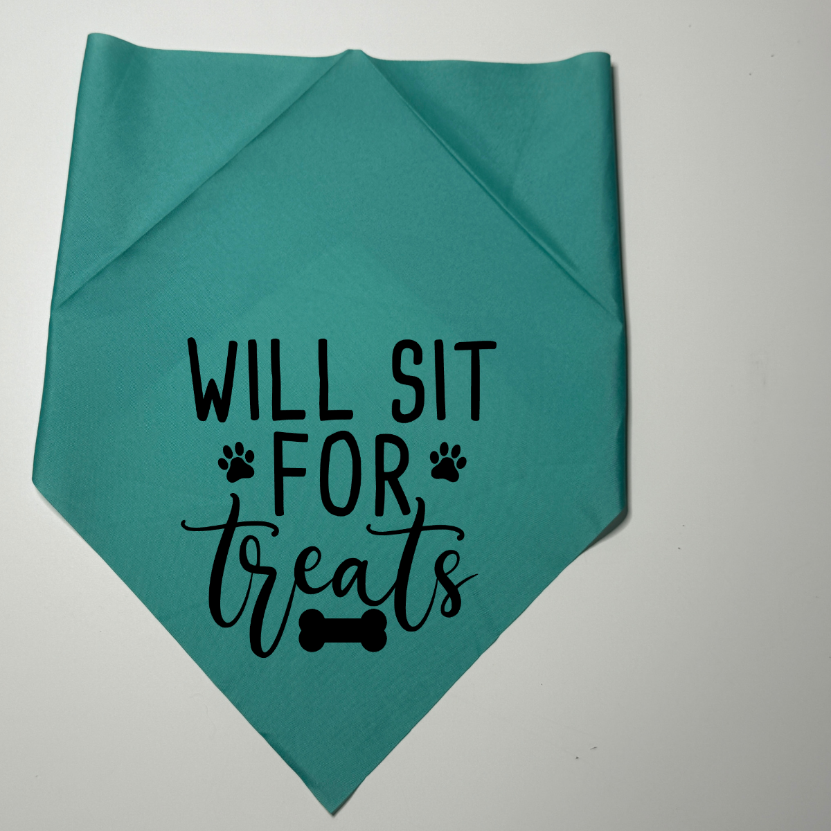 Dog bandanna will sit for treats