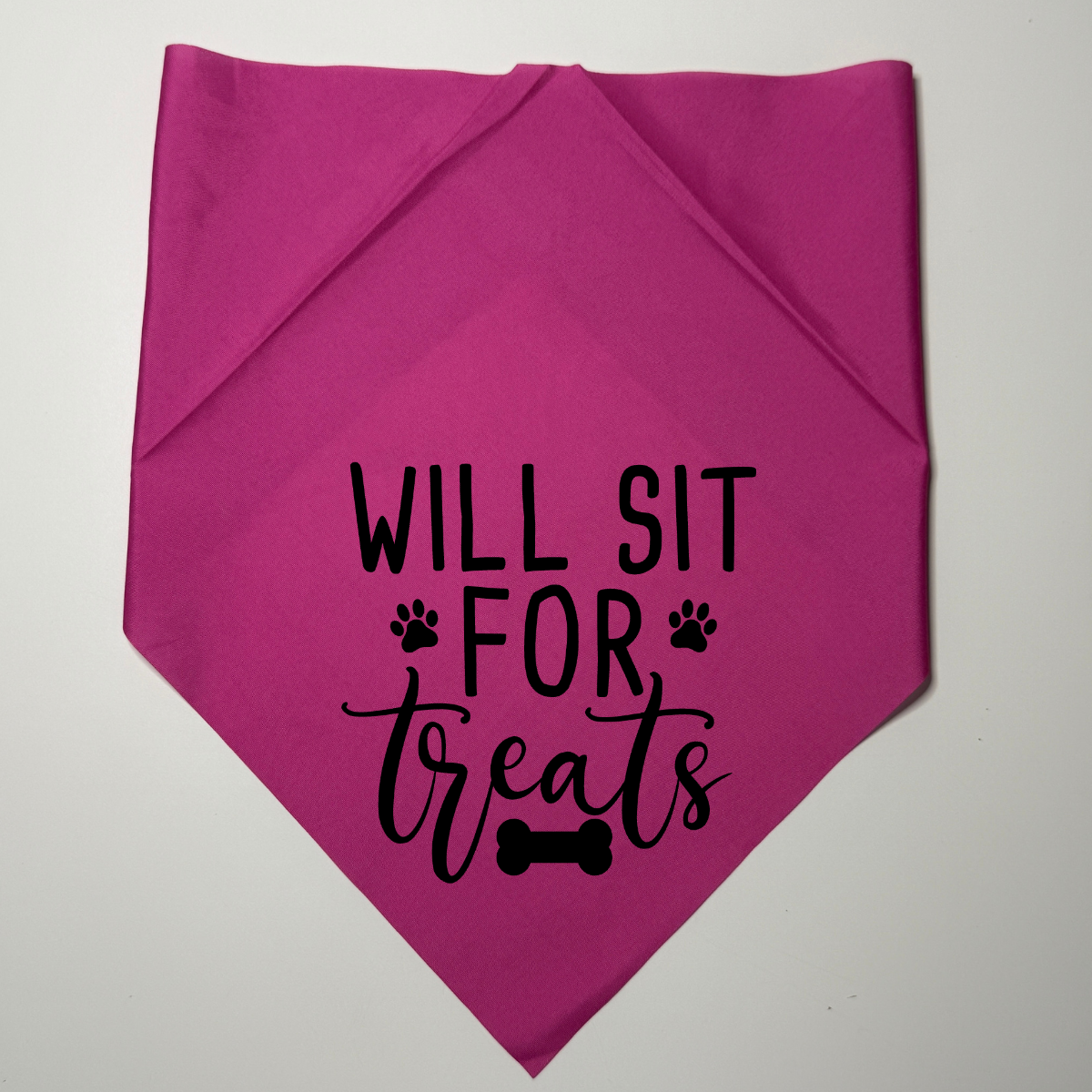 Dog bandanna will sit for treats