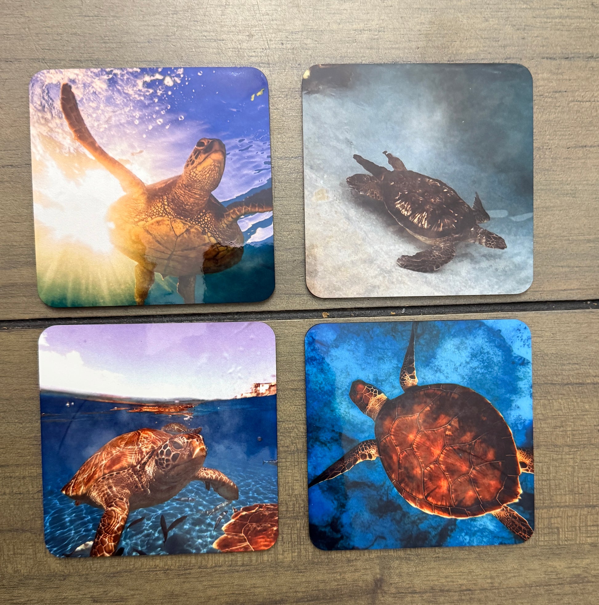 Coasters - Sea Turtles